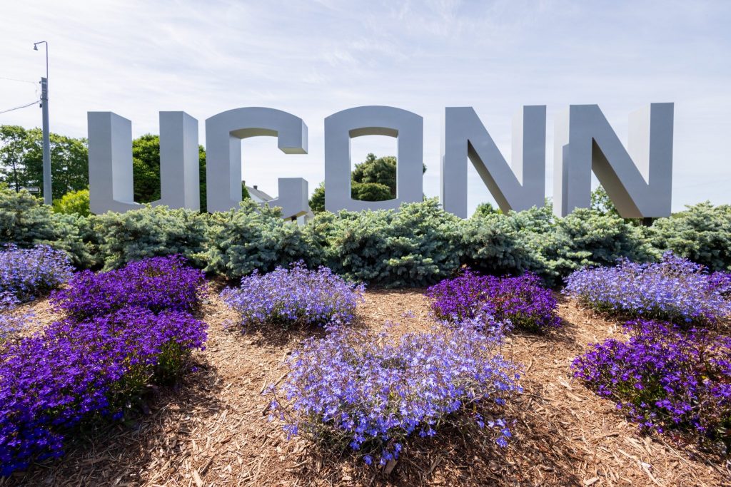 Blue and purple flowers sit in the flowerbed in front of the UConn gateway sign along Route 195