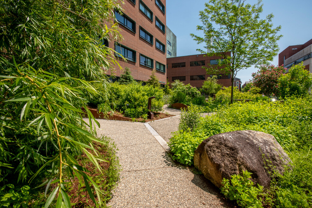 UConn campus outside pharmacy building