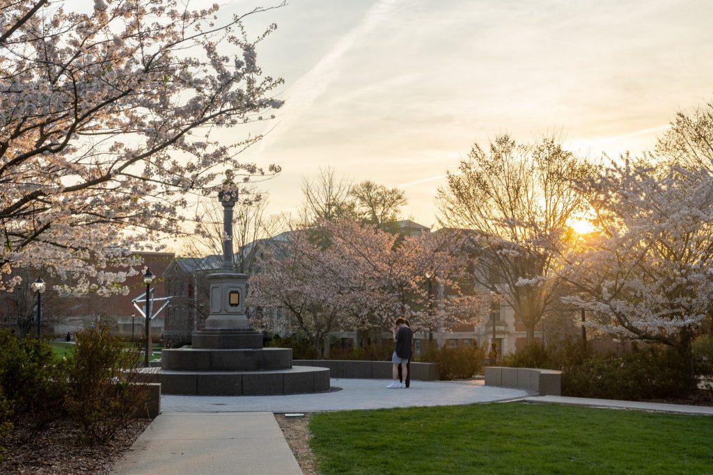 Spring blossoms across campus at sunset