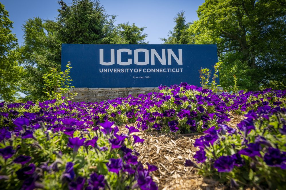 UConn entryway sign with purple flowers on the corner of North Eagleville Road